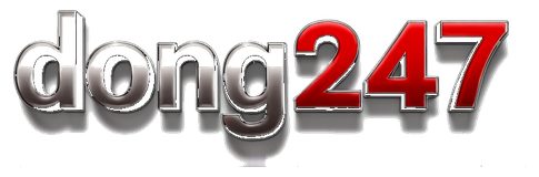 dong247 logo